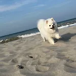 Ostsee-strand Boergerende-Rethwisch
