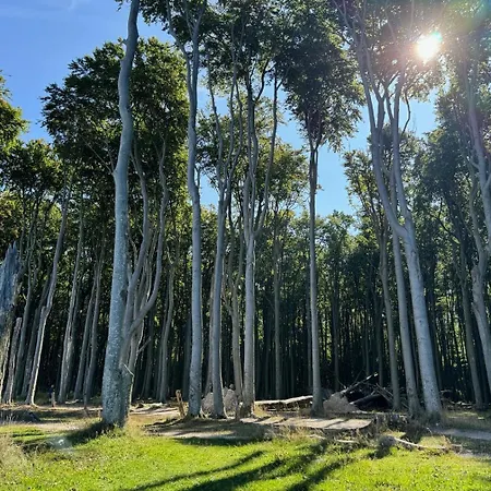 Ostsee-strand Oda ve Kahvaltı 3*